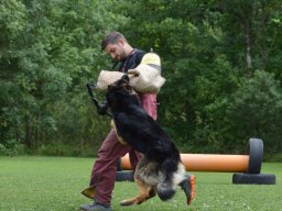 01.07.2023 offenes training 2